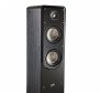 Põrandakõlar Polk Audio Signature S50 - Pilt 5 / thumb