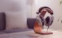 Kõrvaklapid Beyerdynamic DT-880 Edition (600 oomi) - Pilt 5 / thumb