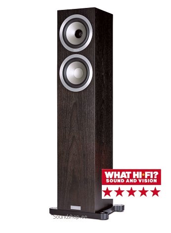 Tannoy Revolution DC6 T SE